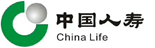中国人寿：企业级报表系统